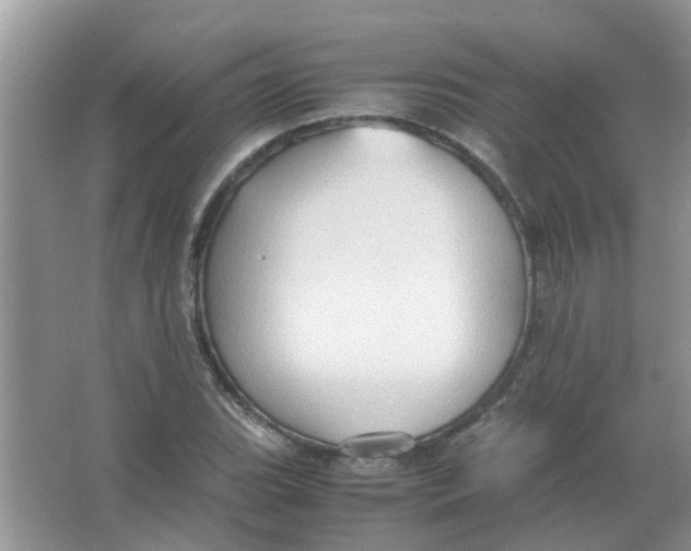 X0000065961119200603241840