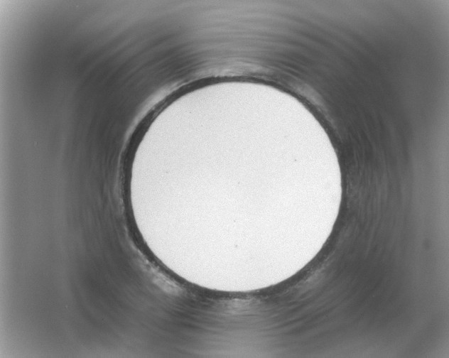 X0000065961122200603241840