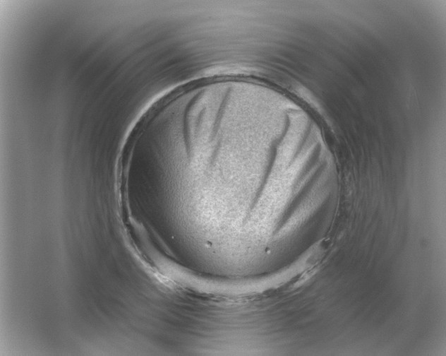 X0000065961124200603241840