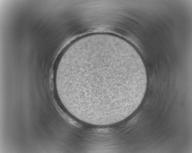 X0000065961126200603241840