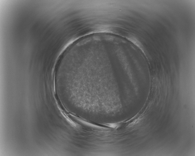 X0000065961127200603241840