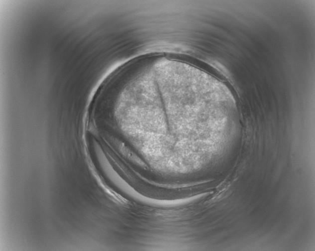 X0000065961128200603241840