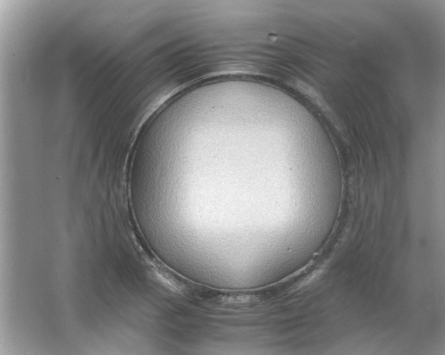 X0000065961129200603241840