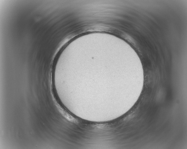 X0000065961130200603241840