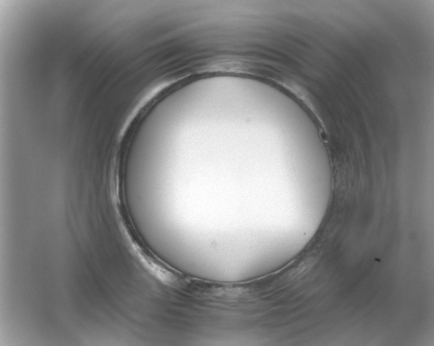 X0000065961131200603241840