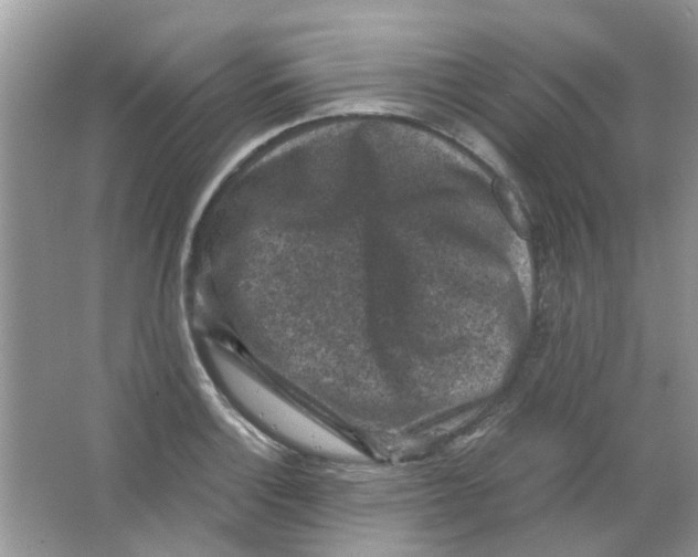 X0000065961132200603241840