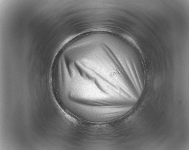 X0000065961133200603241840