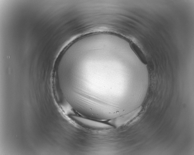 X0000065961134200603241840