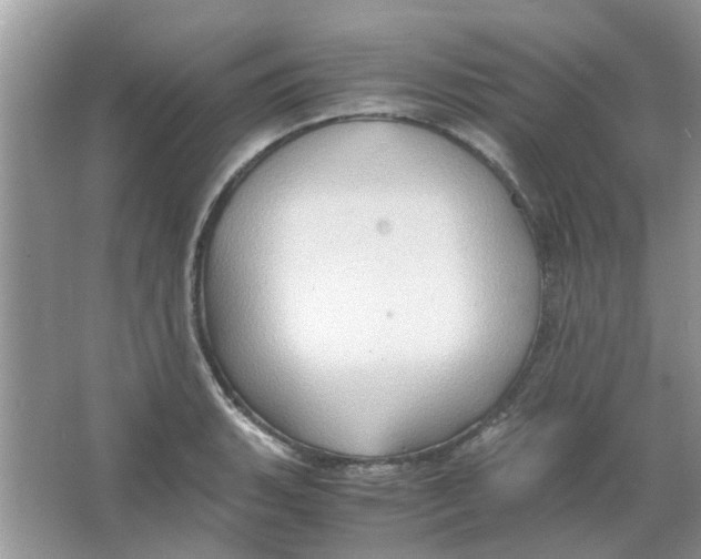 X0000065961135200603241840