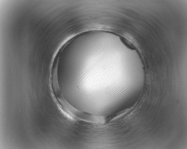 X0000065961136200603241840