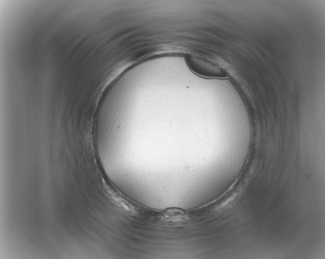 X0000065961137200603241840