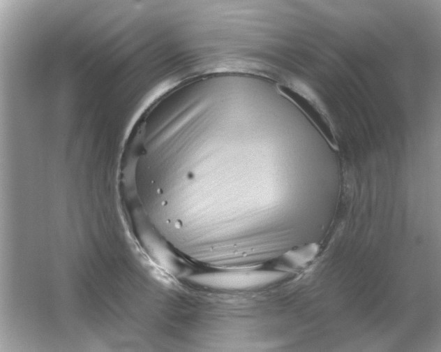 X0000065961138200603241840