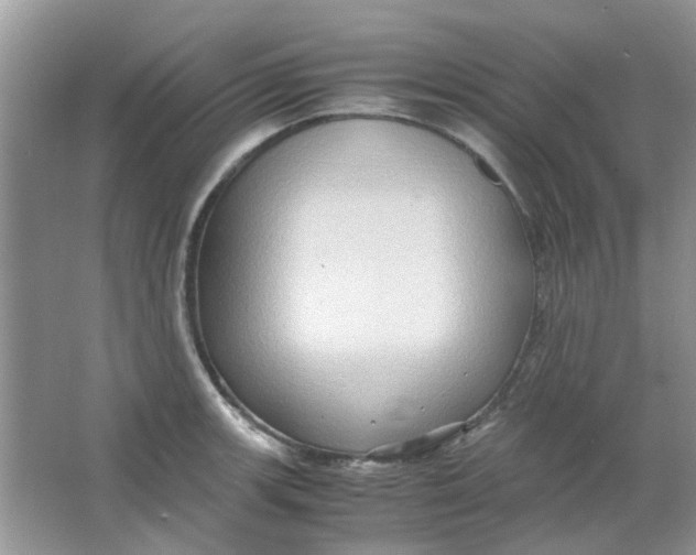 X0000065961139200603241840