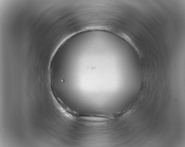 X0000065961140200603241840