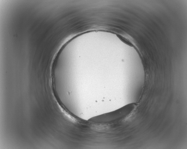 X0000065961143200603241840