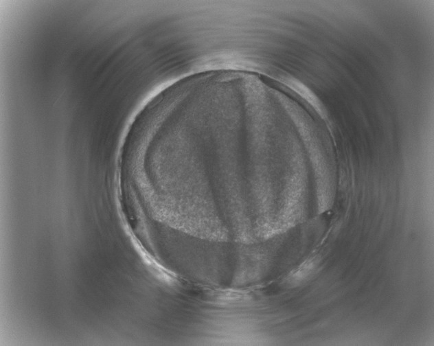 X0000065961144200603241840