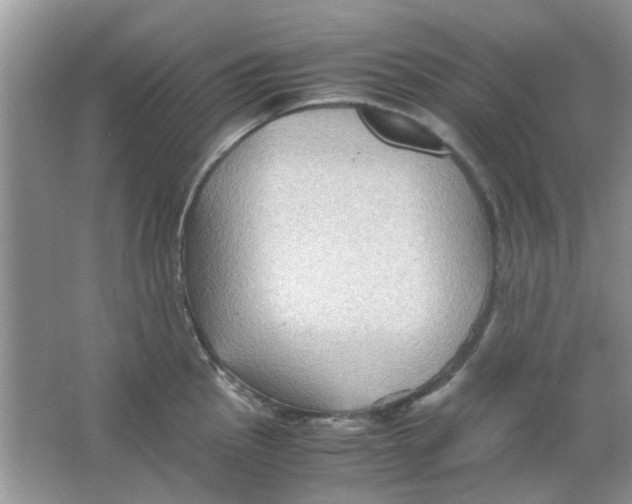 X0000065961145200603241840