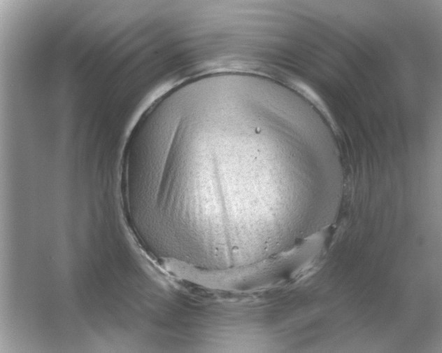 X0000065961146200603241840