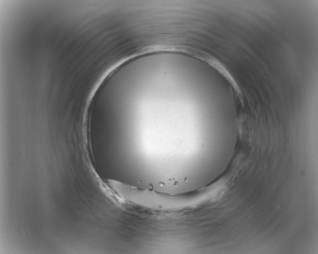 X0000065961148200603241840