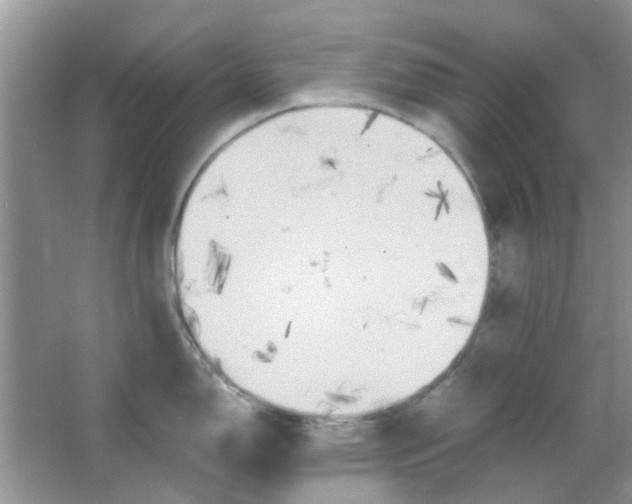 X0000065961150200603241840