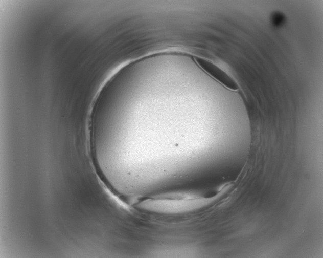 X0000065961151200603241840