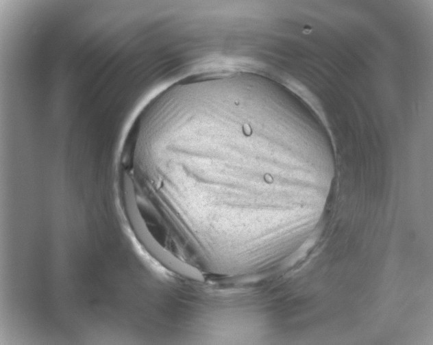 X0000065961152200603241840