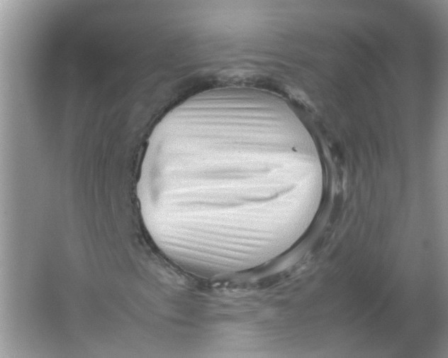 X0000065961153200603241840