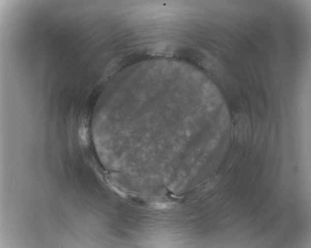 X0000065961154200603241839