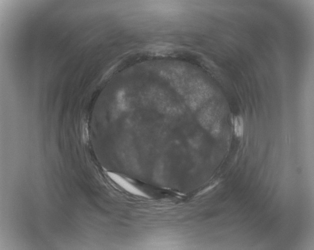 X0000065961155200603241839