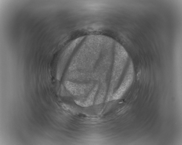 X0000065961156200603241839