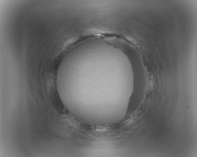 X0000065961157200603241839