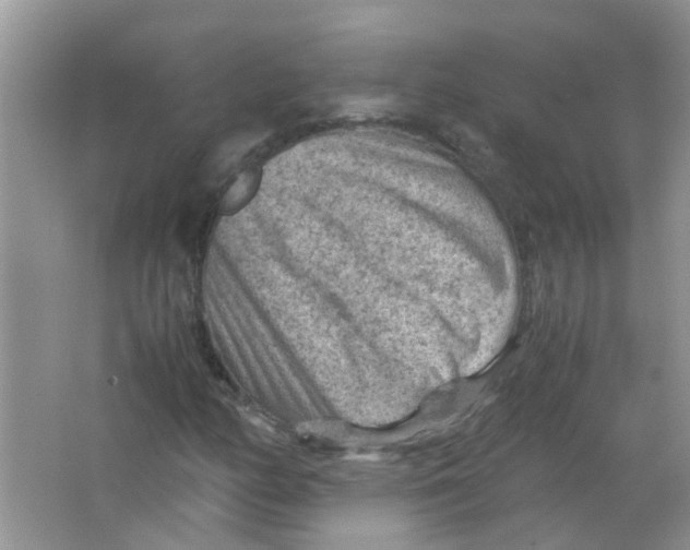 X0000065961158200603241839