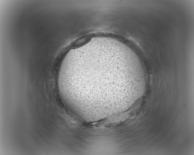 X0000065961159200603241839