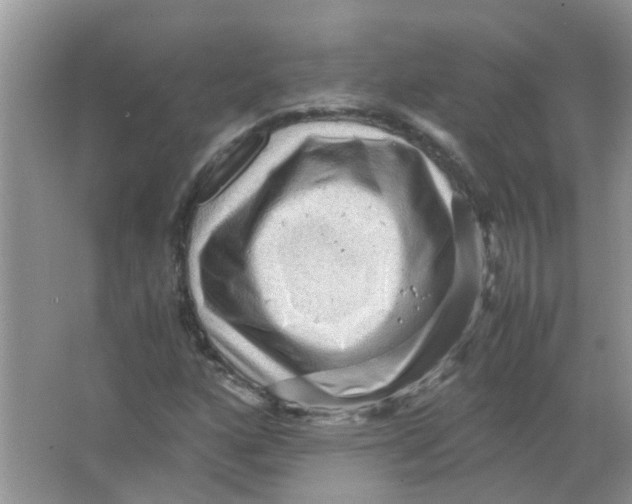 X0000065961160200603241839