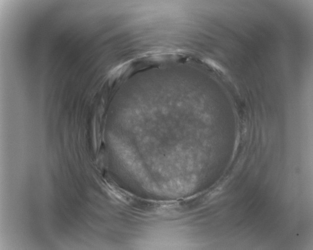 X0000065961161200603241839