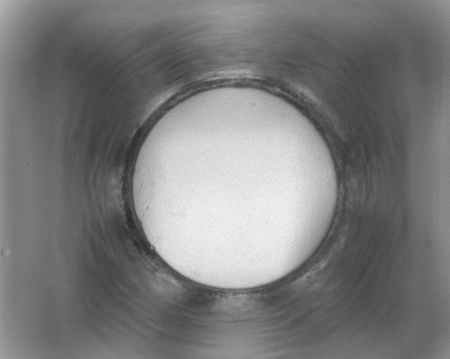 X0000065961162200603241839