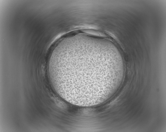 X0000065961163200603241839