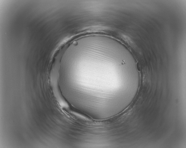 X0000065961164200603241839