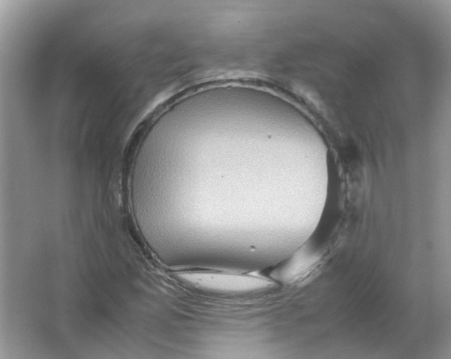 X0000065961165200603241839