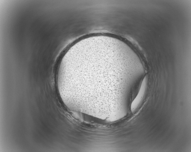 X0000065961167200603241839