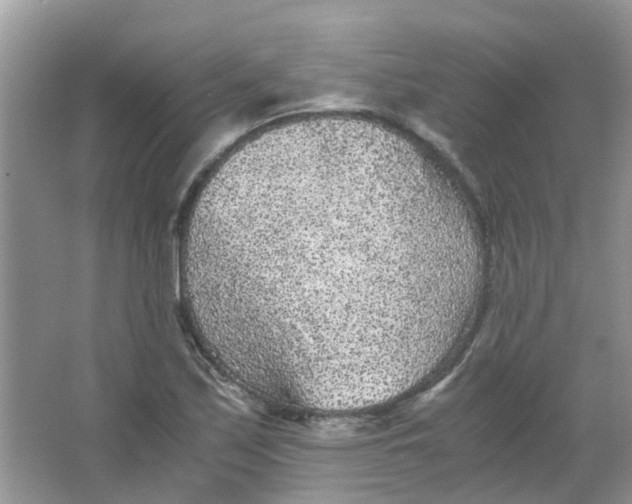 X0000065961171200603241839