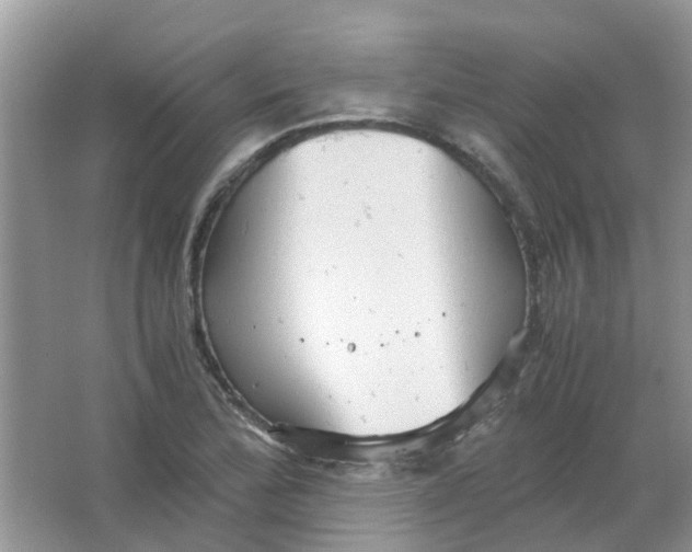 X0000065961172200603241839