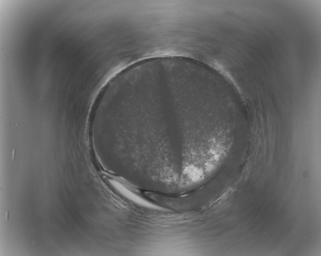 X0000065961173200603241839