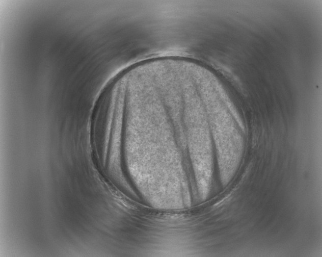 X0000065961174200603241839