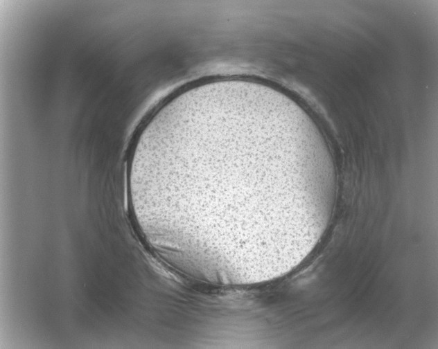 X0000065961175200603241839