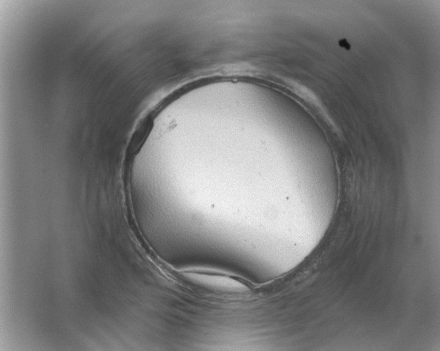 X0000065961176200603241839