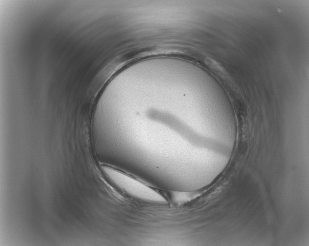 X0000065961177200603241839