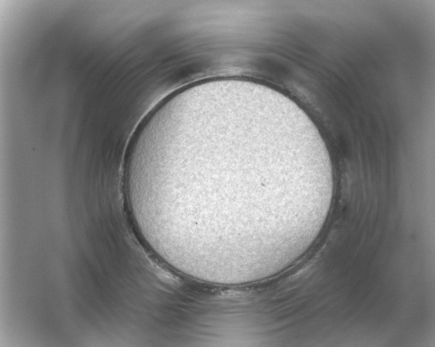 X0000065961178200603241839