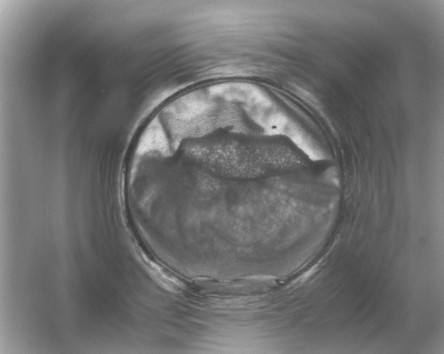 X0000065961179200603241839