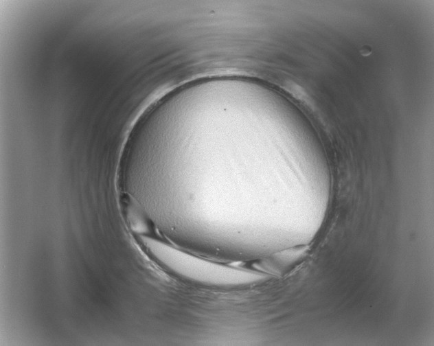 X0000065961181200603241839